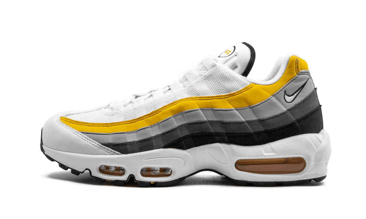 Air Max 95 CD7495 100
